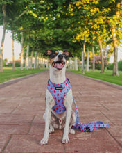 Load image into Gallery viewer, Leash - Huelva