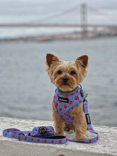 Load image into Gallery viewer, Leash - Huelva