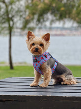 Load image into Gallery viewer, Harness - Huelva