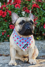 Load image into Gallery viewer, Bandana - Huelva
