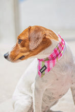 Load image into Gallery viewer, Bandana - Santa Monica