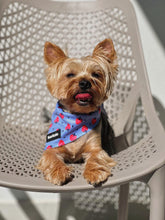 Load image into Gallery viewer, Bandana - Huelva