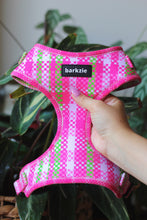 Load image into Gallery viewer, Harness - Santa Monica