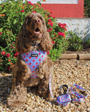 Load image into Gallery viewer, Leash - Huelva