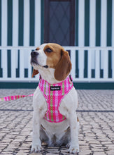 Load image into Gallery viewer, Harness - Santa Monica