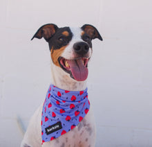 Load image into Gallery viewer, Bandana - Huelva