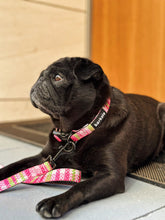 Load image into Gallery viewer, Collar - Santa Monica