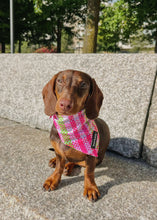 Load image into Gallery viewer, Bandana - Santa Monica