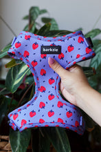 Load image into Gallery viewer, Harness - Huelva