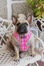 Load image into Gallery viewer, Harness - Santa Monica