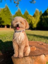 Load image into Gallery viewer, Collar - Huelva