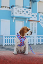 Load image into Gallery viewer, Harness - Huelva