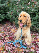 Load image into Gallery viewer, Collar - Nice