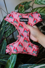 Load image into Gallery viewer, Harness - Santa Fe