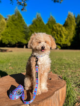 Load image into Gallery viewer, Leash - Huelva