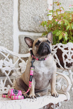 Load image into Gallery viewer, Leash - Santa Monica