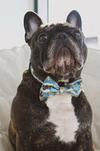 Load image into Gallery viewer, Collar - Bangkok