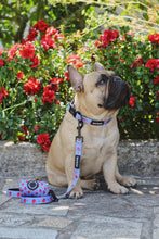 Load image into Gallery viewer, Collar - Huelva