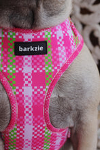 Load image into Gallery viewer, Harness - Santa Monica