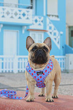 Load image into Gallery viewer, Leash - Huelva