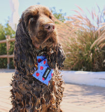 Load image into Gallery viewer, Bandana - Huelva