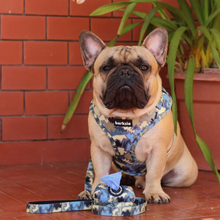 Load image into Gallery viewer, Leash - Bangkok