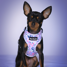 Load image into Gallery viewer, Harness - Kyoto