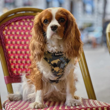 Load image into Gallery viewer, Harness - Bangkok