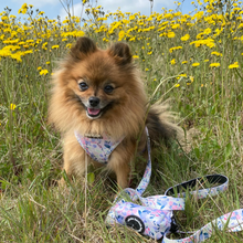 Load image into Gallery viewer, Leash - Kyoto