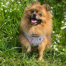 Load image into Gallery viewer, Harness - Kyoto