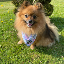 Load image into Gallery viewer, Bandana - Kyoto