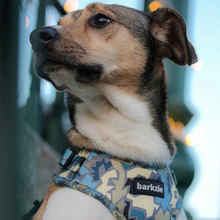 Load image into Gallery viewer, Harness - Bangkok