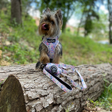 Load image into Gallery viewer, Harness - Kyoto