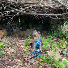 Load image into Gallery viewer, Harness - Nice