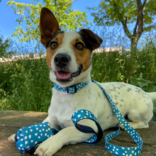 Load image into Gallery viewer, Collar - Nice