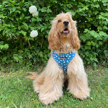 Load image into Gallery viewer, Harness - Nice