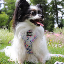 Load image into Gallery viewer, Harness - Kyoto