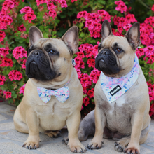 Load image into Gallery viewer, Bandana - Kyoto