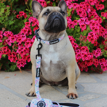 Load image into Gallery viewer, Collar - Kyoto