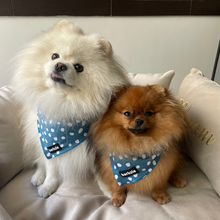 Load image into Gallery viewer, Bandana - Nice