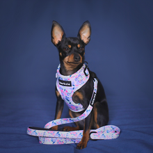 Load image into Gallery viewer, Leash - Kyoto