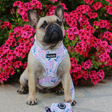 Load image into Gallery viewer, Harness - Kyoto