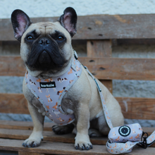 Load image into Gallery viewer, Harness - Toronto