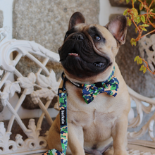 Load image into Gallery viewer, Leash - Bogota