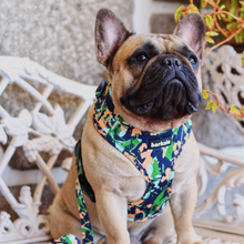 Load image into Gallery viewer, Harness - Bogota