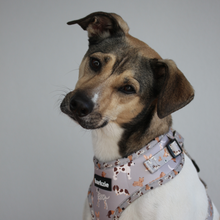 Load image into Gallery viewer, Harness - Toronto