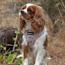 Load image into Gallery viewer, Harness - Toronto