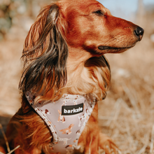 Load image into Gallery viewer, Harness - Toronto