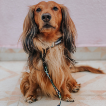 Load image into Gallery viewer, Collar - Bogota