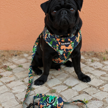 Load image into Gallery viewer, Leash - Bogota